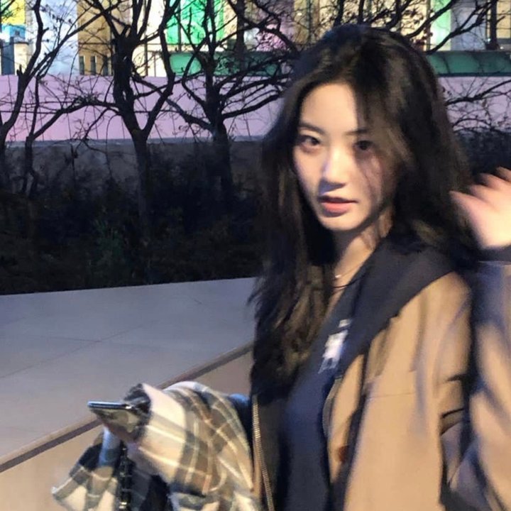 丹美的电影宇宙